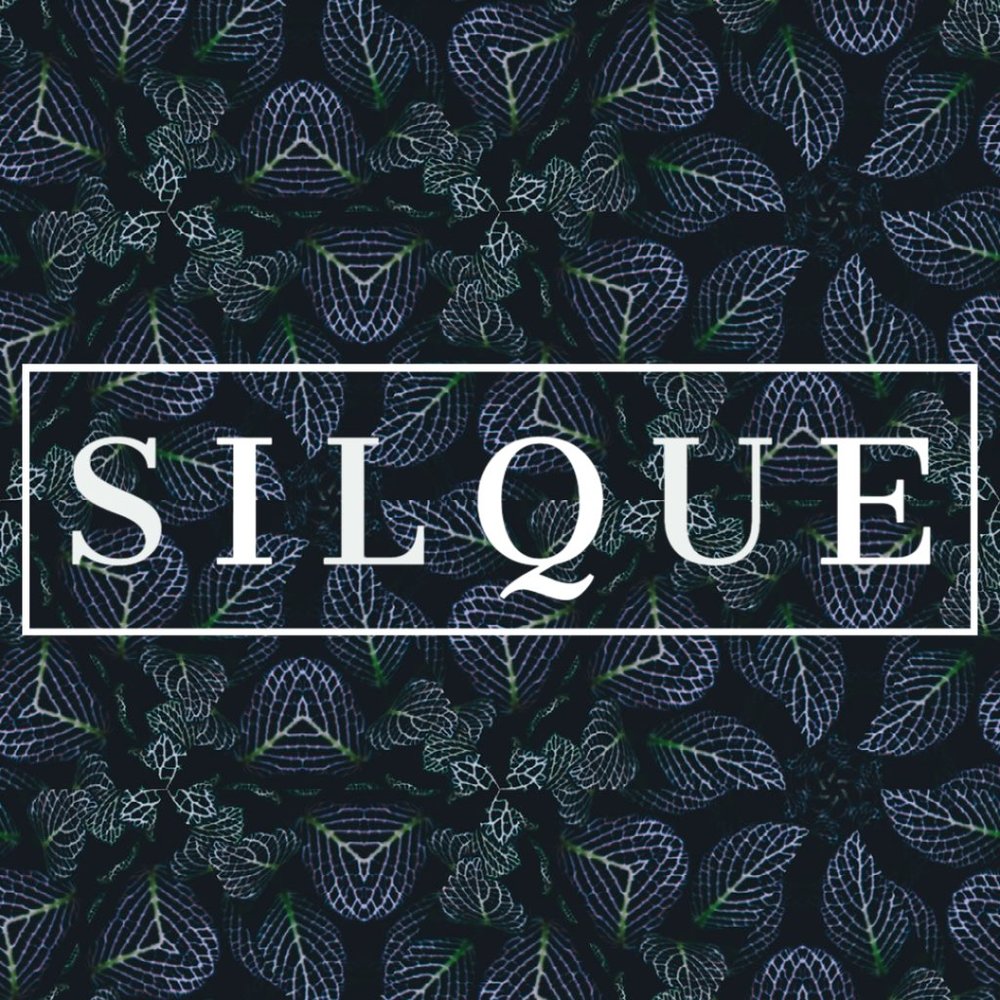 Welcome to the SILQUESHOP!